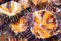 Đặc sản nổi tiếng ngon tuyệt của Phú Quốc