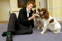 Những luật lệ kỳ lạ nhất ở Vương quốc Anh