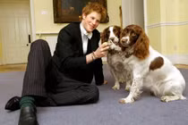 Những luật lệ kỳ lạ nhất ở Vương quốc Anh