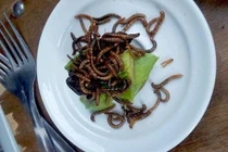 10 món ăn lạ lùng của các nhà hàng trên thế giới