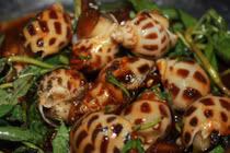 4 cách chế biến ốc hương ngon nhất