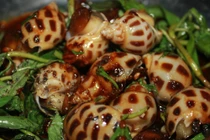 4 cách chế biến ốc hương ngon nhất