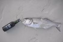 Những luật lệ “không thể tin nổi” trên thế giới