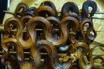 Những món ăn ngon lạ từ thịt rắn