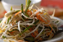 Làm dưa giá nhanh gọn đơn giản