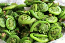 Bất ngờ loại rau trường thọ quý hiếm mọc đầy ở Việt Nam