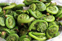 Bất ngờ loại rau trường thọ quý hiếm mọc đầy ở Việt Nam