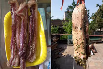 Phát sốt với món thịt một nắng giữa ngày Hà Nội 40 độ