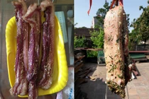 Phát sốt với món thịt một nắng giữa ngày Hà Nội 40 độ