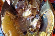 Lạ miệng, khó quên hương vị món sam biển 