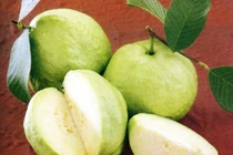 Những loại hoa quả trị ho an toàn cho bà bầu