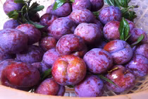 Quả hot mùa hè: Ngon đã miệng nhưng dễ hại thân