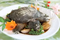 Họa gì sẽ đến khi ăn thịt ba ba sai cách