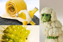 Ngắm những tuyệt tác từ rau quả đáng yêu cho bé