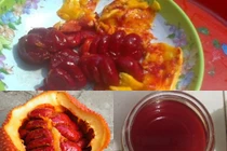 Tự làm dầu gấc cho bé ăn dặm