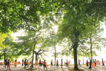 Dự báo thời tiết ngày 2/3: Miền Bắc nắng đẹp