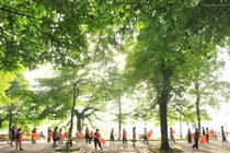 Dự báo thời tiết ngày 2/3: Miền Bắc nắng đẹp
