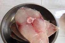 Những mẹo hay bảo quản chế biến cá