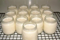 Làm sữa chua từ sữa mẹ cho con 