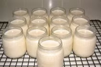 Làm sữa chua từ sữa mẹ cho con 