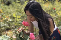Ảnh: Vườn hoa hồng vạn gốc của nữ luật sư Hà Nội xinh đẹp
