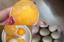 Hoang mang trứng giả đội lốt gà ta trở lại 