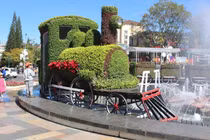 Nắng nóng, nhiệt độ Đà Lạt lập kỷ lục mới