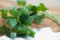 Bài thuốc từ rau mùi ta trị các bệnh mùa đông