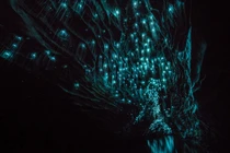 Thế giới huyền ảo bên trong những hang động đẹp nhất hành tinh 