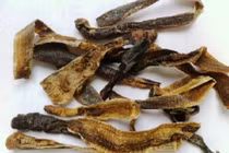 Bài thuốc phòng đột quỵ do nhồi máu cơ tim 