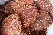 5 bài thuốc trị dứt điểm sỏi thận dễ kiếm