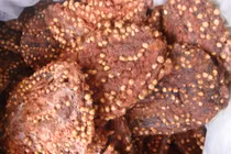 5 bài thuốc trị dứt điểm sỏi thận dễ kiếm