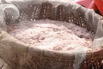 Đầu năm ngư dân trúng hàng trăm triệu nhờ “lộc trời” 