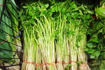 Cách chọn mua rau cần đầu mùa không độc hại