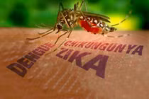 Kết quả xét nghiệm 83 người nghi nhiễm virus Zika ở VN