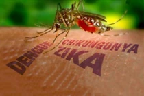 Kết quả xét nghiệm 83 người nghi nhiễm virus Zika ở VN
