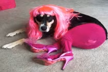 Choáng váng với những kiểu nghịch phá oái oăm của bé