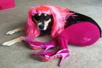 Choáng váng với những kiểu nghịch phá oái oăm của bé