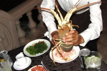 Siêu độc món tiết canh tôm hùm đặc sản