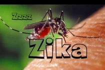 Bộ Y tế chỉ đạo phòng ngừa virus Zika ăn não người