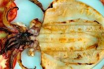 Món ngon được vinh danh đặc sản Việt (2)