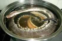 Rùng mình với món rắn luộc nguyên con ở miền Tây