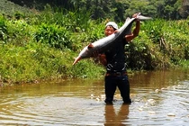 Chàng trai dân tộc bắt được cặp cá tầm nặng 40 kg 