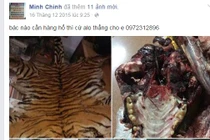 Buôn bán trên facebook xuất hiện mặt hàng...hổ, gấu, đại bàng