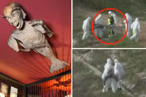 Xôn xao xác sinh vật lạ giống người cá ở Ba Lan