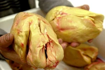 Thưởng thức gan ngỗng béo siêu đắt bổ dưỡng 