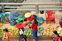 Thăm chợ đĩa độc đáo có 1 không 2 ở TP HCM