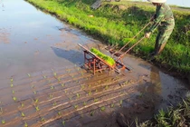 Anh nông dân và chiếc máy cấy kỳ lạ ở Thái Bình