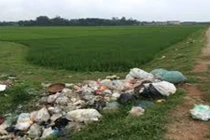 Hoảng hồn đoạn chân người vứt tại bãi rác ở Nghệ An