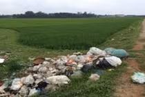 Hoảng hồn đoạn chân người vứt tại bãi rác ở Nghệ An